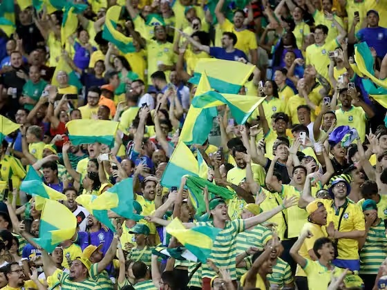 Torcida do Brasil / Divulgação